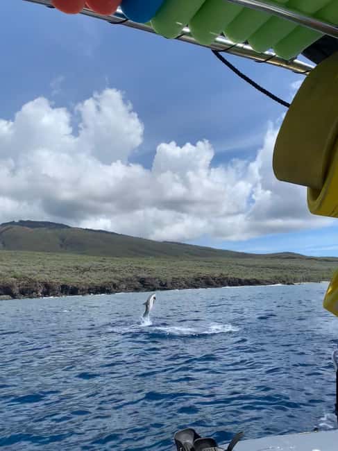 Maui: Eco-Raft Dolphin Watch Tour with Snacks - Practical Tips For A Better Departure