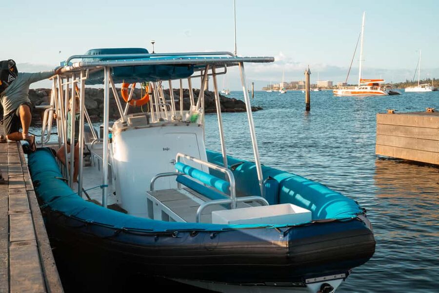 Maui: Eco-Raft Dolphin Watch Tour with Snacks - Final Call: Book It For The Format, Not A Guarantee