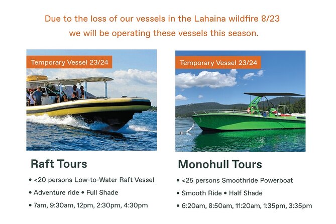 Maui Eco-Raft Tour: Eye-Level Whale or Dolphin Watching - Lahaina - What the whale sightings can look like