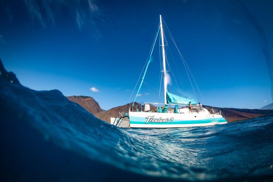 Maui: Kaanapali Dolphin Watching Boat Trip with Lunch - Key points to know before you sail