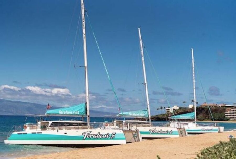 Maui: Kaanapali Dolphin Watching Boat Trip with Lunch - Why this Kaanapali sail works so well