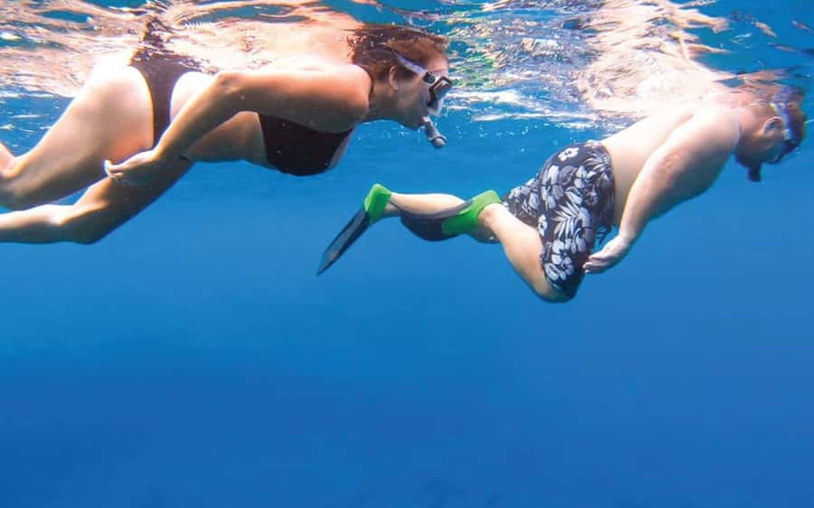 Maui: Semi-Private Eco-Raft Lanai Snorkel & Dolphin Tour - From 1223 Front Street to Lanai