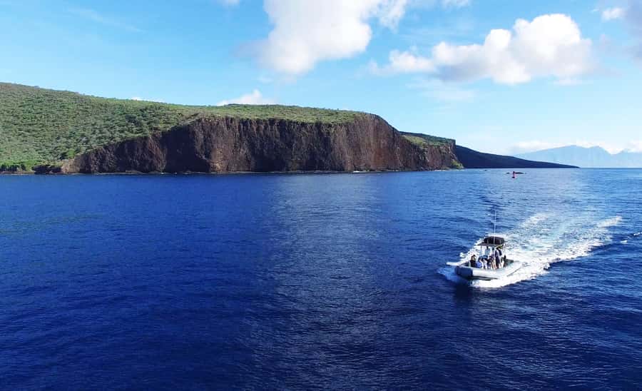 Maui: Semi-Private Eco-Raft Lanai Snorkel & Dolphin Tour - Dolphin watching and the trip back