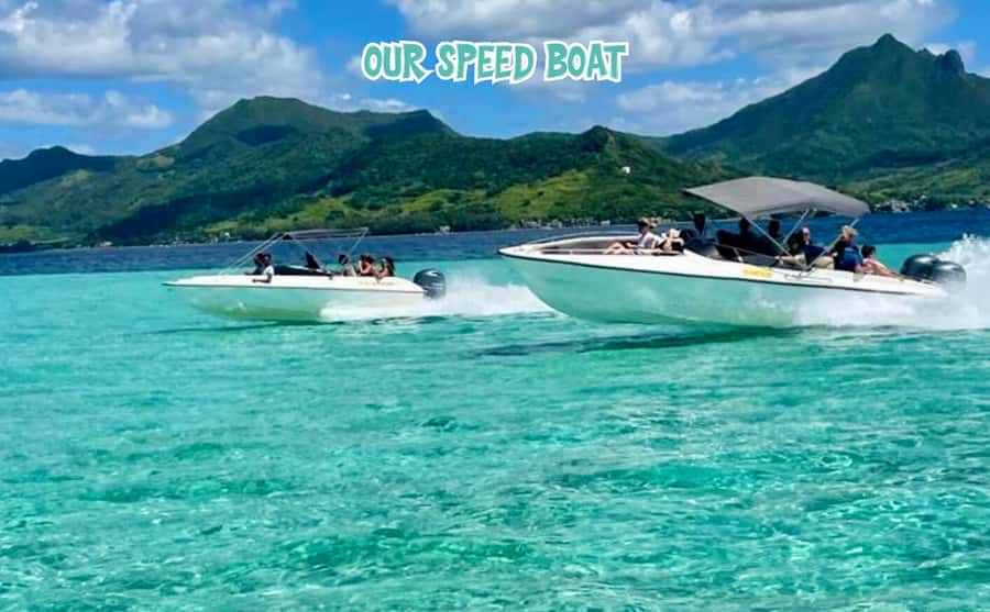 Mauritius: Benitier Island - Swim Dolphins - Speedboat & BBQ - Starting early from Mauritius’s west coast