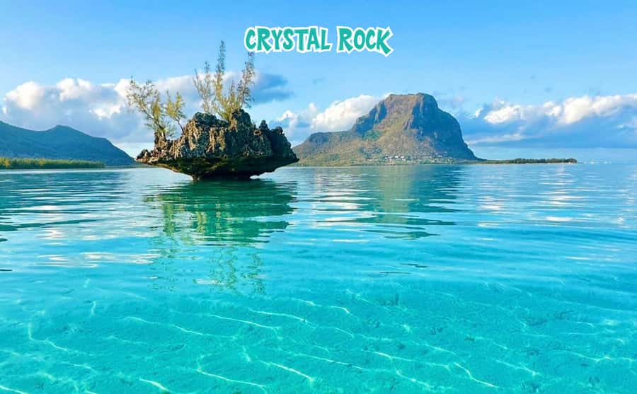 Mauritius: Benitier Island - Swim Dolphins - Speedboat & BBQ - Crystal Rock and the Le Morne view