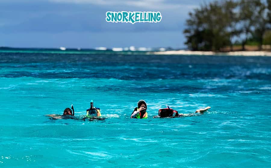 Mauritius: Benitier Island - Swim Dolphins - Speedboat & BBQ - Who will enjoy this day most?