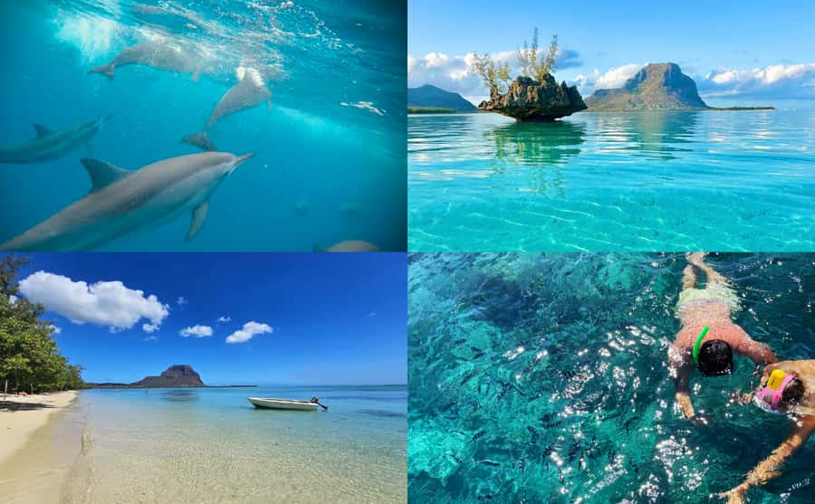 Mauritius: Benitier Island - Swim Dolphins - Speedboat & BBQ - Speedboat travel toward the dolphin grounds