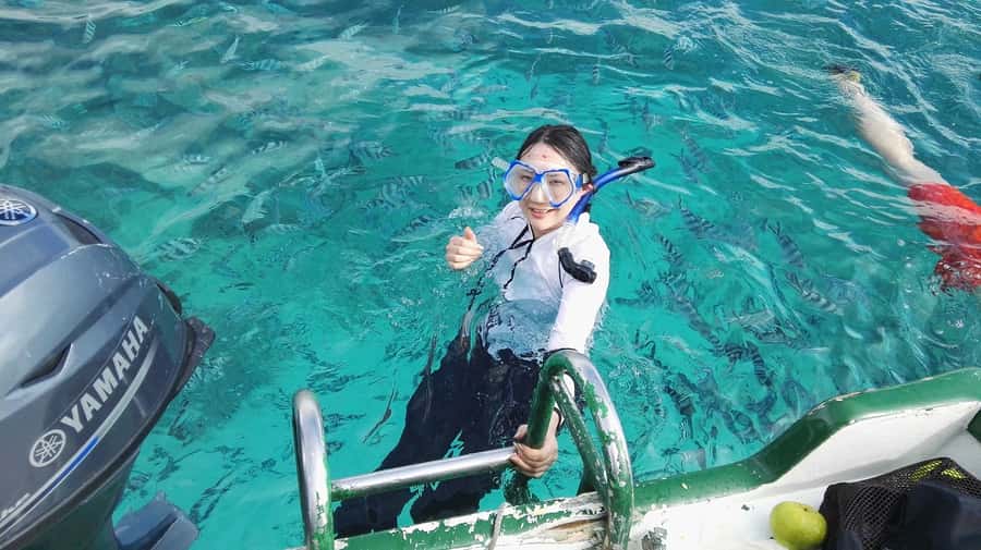 Mauritius: Dolphins watch half-day - Tamarin Bay and the speedboat ride
