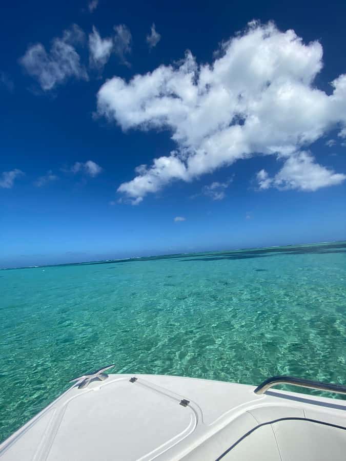 Mauritius Le Morne: Eco-Friendly Dolphin Watching Tour - Swimming with wild dolphins, with realistic expectations