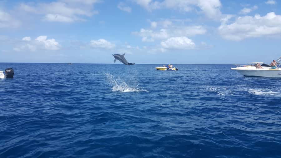 Mauritius: Ocean Swim with Dolphins - What the six-hour Mauritius boat trip is really like