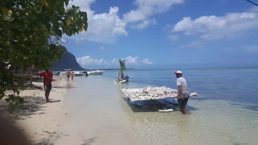Mauritius: Ocean Swim with Dolphins - Île aux Bénitiers: the day’s most relaxed two hours