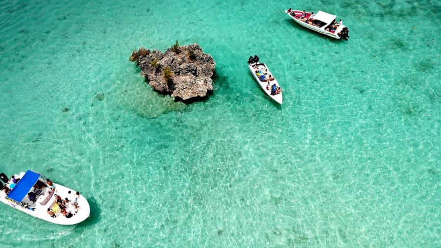 Mauritius: Ocean Swim with Dolphins - Who will enjoy this boat trip most?
