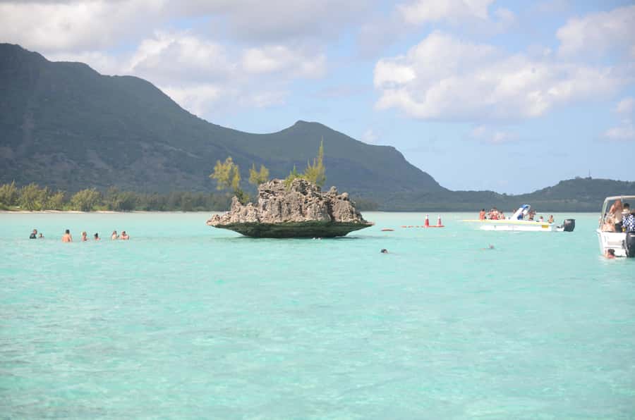 Mauritius: Ocean Swim with Dolphins - The dolphin encounter: exciting, but not always gentle