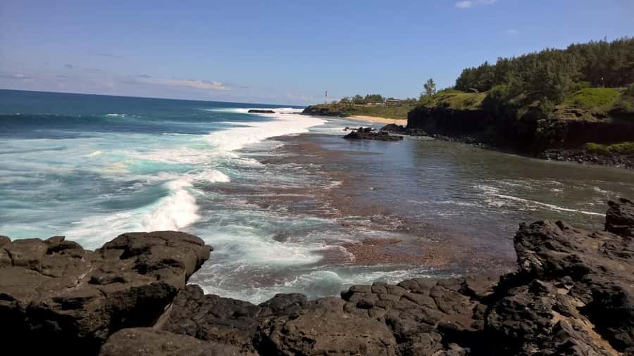 Mauritius: Private South Side and Dolphin Adventure Tour - Key points to know before booking