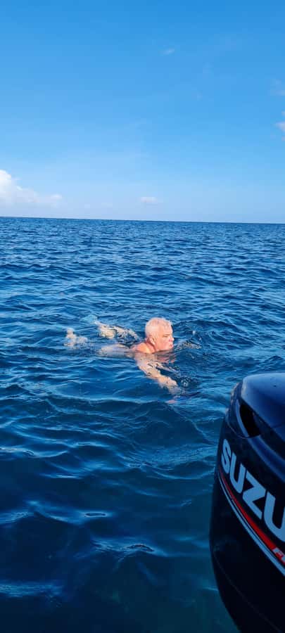 Mauritius: Snorkel and Swim with Dolphins on Speedboat Tour - Key points at a glance