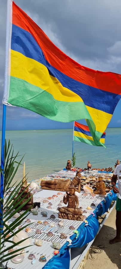 Mauritius: Snorkel and Swim with Dolphins on Speedboat Tour - Drinks, duration, and what the $49 covers