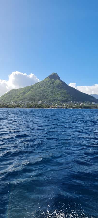 Mauritius: Snorkel and Swim with Dolphins on Speedboat Tour - Should you book the Tamarin dolphin swim?