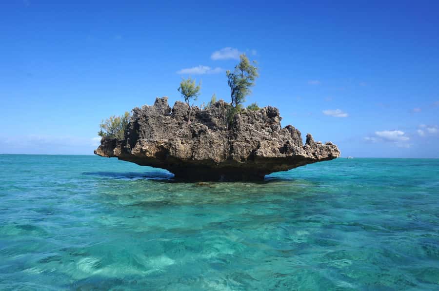 Mauritius: Swim with Dolphins Full-Day with Lunch/Drinks - Dolphin watching with a busy crowd