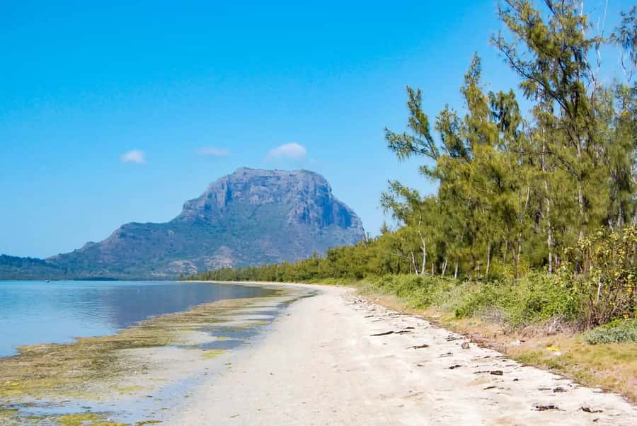Mauritius: Swim with Dolphins Full-Day with Lunch/Drinks - Is $96 a fair price?