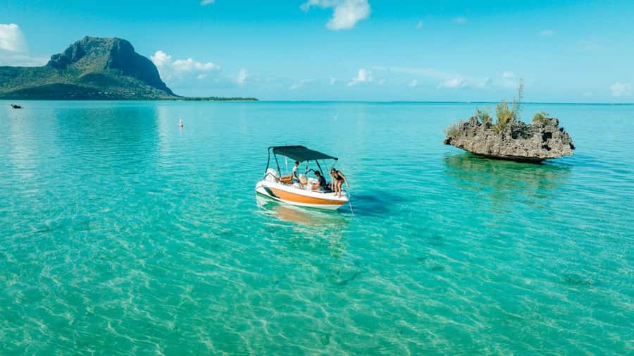 Mauritius: Swim with Dolphins Full-Day with Lunch/Drinks - Who will enjoy this experience most?