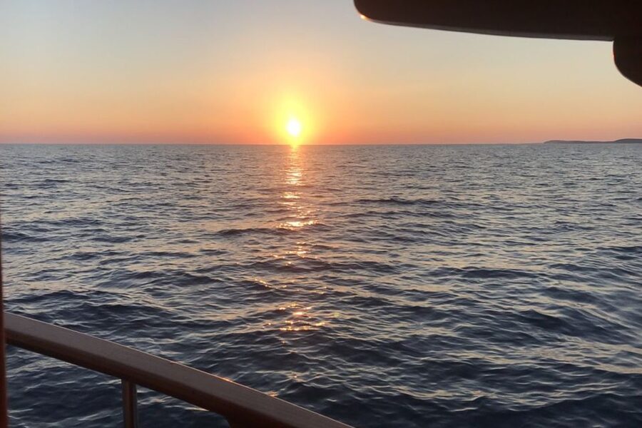 Medulin: Dolphin Sunset Tour 85% chance with Drinks + Dinner - Dolphin watching: frequent, but never promised