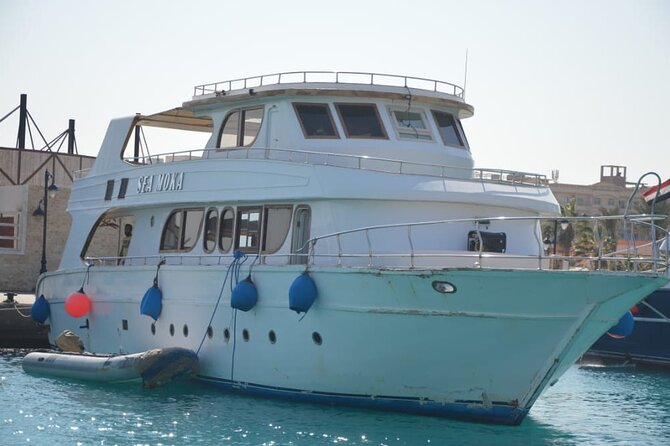 Meet the dolphins in snorkeling tour - Who should book this Hurghada excursion?