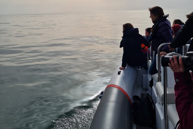 Meet the Lisbon Dolphins - Dolphin Watching in Lisbon - Returning past Belém’s great monuments