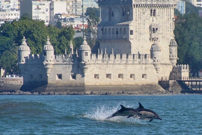 Meet the Lisbon Dolphins - Dolphin Watching in Lisbon - Who will enjoy this dolphin trip most?