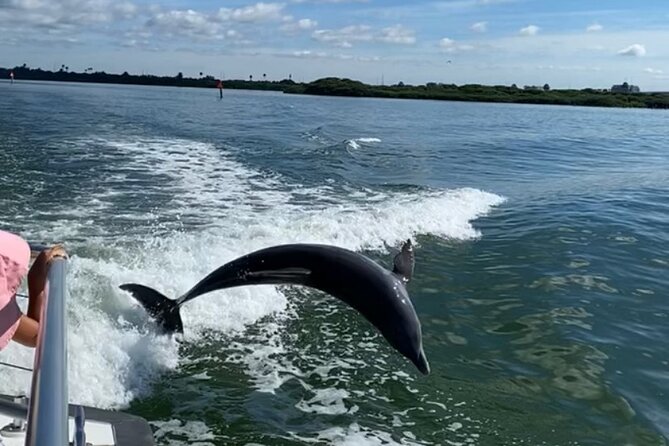 Mega Bite Dolphin Tour Boat in Clearwater Beach - Food, drinks, and useful onboard comforts