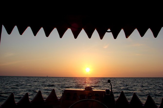 Mega Bite Dolphin Tour Boat in Clearwater Beach - The crew can make or break the hour