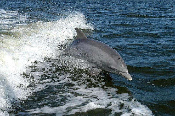 Mega Bite Dolphin Tour Boat in Clearwater Beach - The first part of the ride: Clearwater Beach from the water