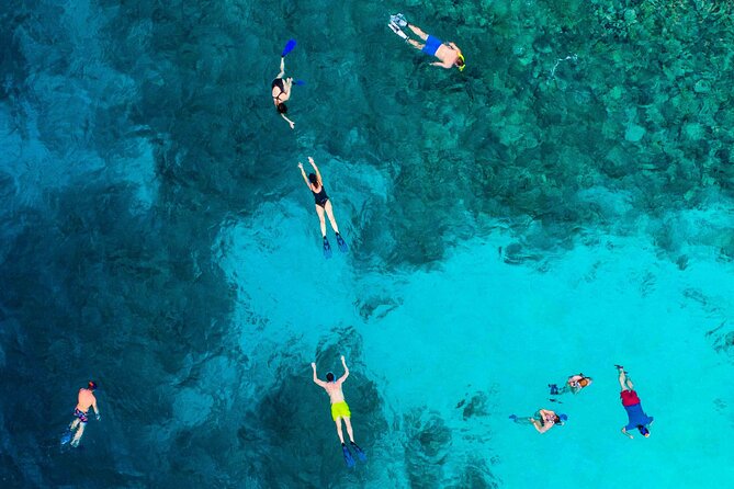 MIAMI: Key West Dolphin Watch Tour - Is $89.25 a fair price?