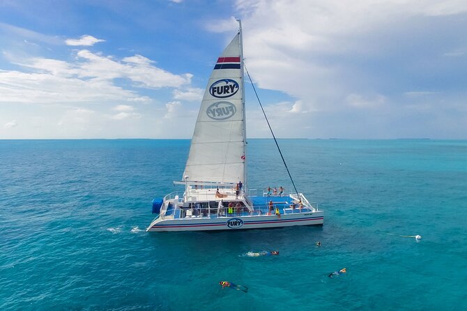 MIAMI: Key West Dolphin Watch Tour - What the dolphin and snorkeling option includes