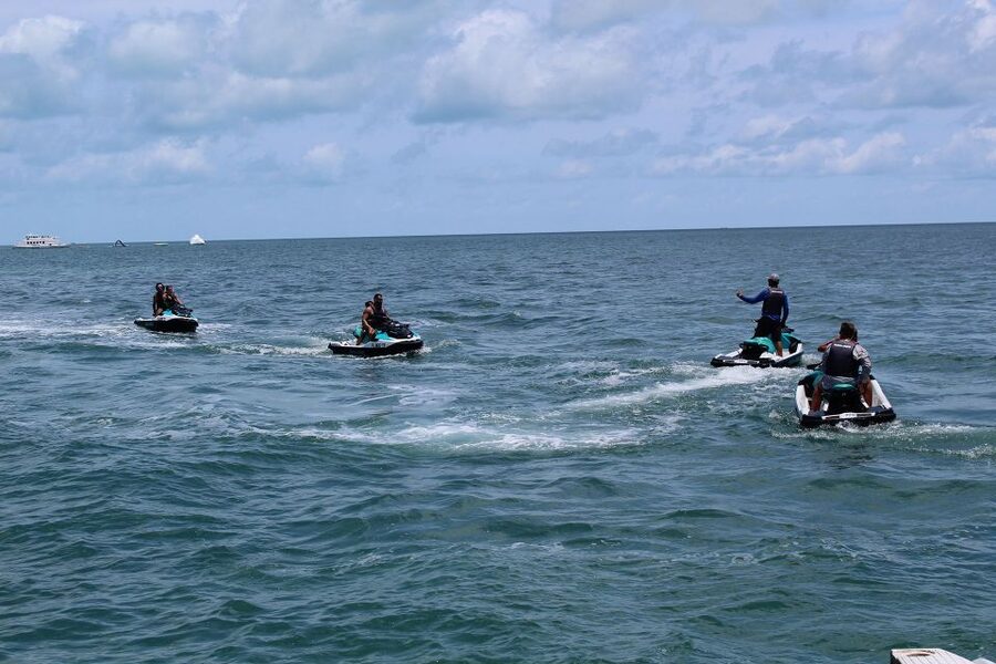Miami to Key West Shuttle: Dolphin, Snorkeling & More - Key details before you book