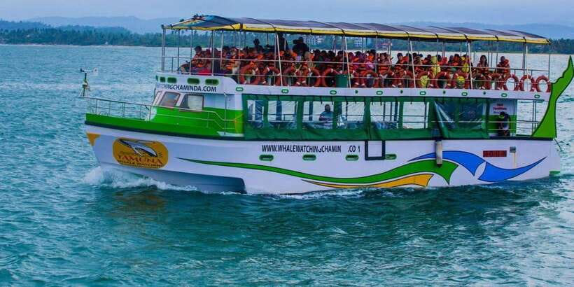Mirissa: Whale & Dolphin Watching Cruise with Breakfast - Rain, rough water, and the limits of wildlife watching