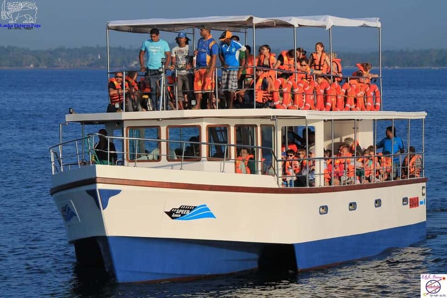 Mirissa: Whale & Dolphin Watching Trip with Private Transfer - Searching for blue whales and dolphins