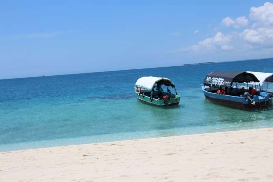 Mnemba dolphin & snorkel: from matemwe, pwani, kwingwa, Uroa - The first stop: searching for dolphins