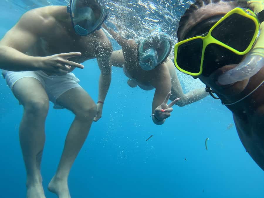 Mnemba dolphin & snorkel: from matemwe, pwani, kwingwa, Uroa - The hotel pickup from four Zanzibar areas