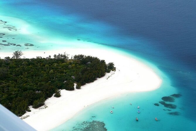 Mnemba Dolphin Tour, The Island Pongwe, Blue Lagoon, Starfish Tour, The Rock - Five things to know before you book