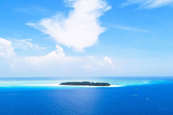 Mnemba Dolphin Tour, The Island Pongwe, Blue Lagoon, Starfish Tour, The Rock - Why this private Zanzibar day works