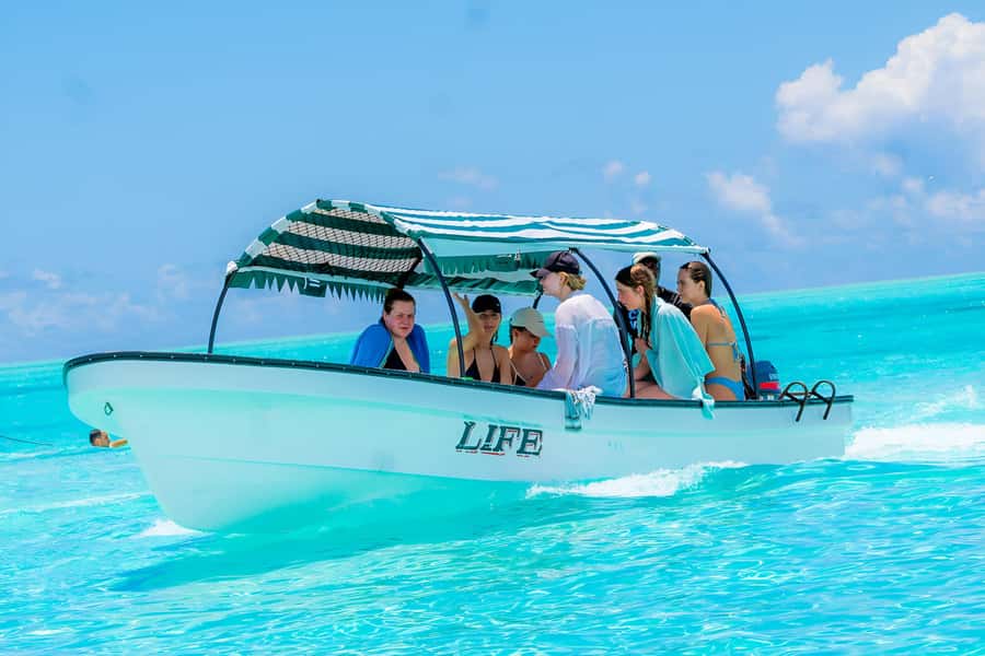 Mnemba Island: Dolphin Swim & Snorkeling with Optional Lunch - Who will get the most from this trip?
