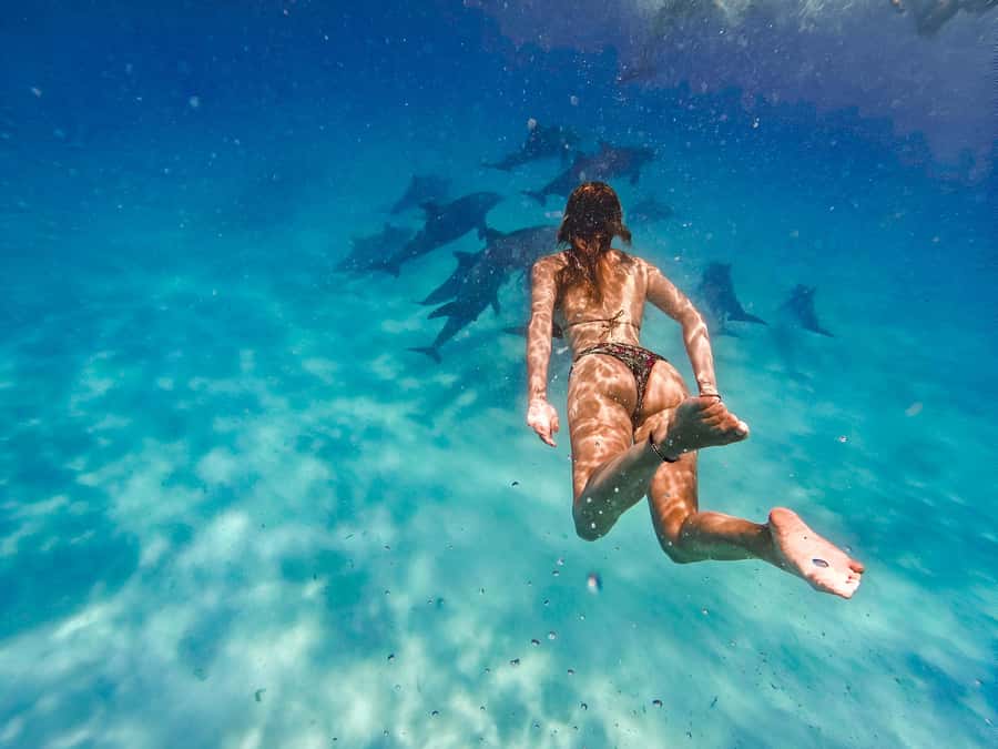 Mnemba Island: Dolphin Swim & Snorkeling with Optional Lunch - Arriving at Muyuni Beach near Matemwe