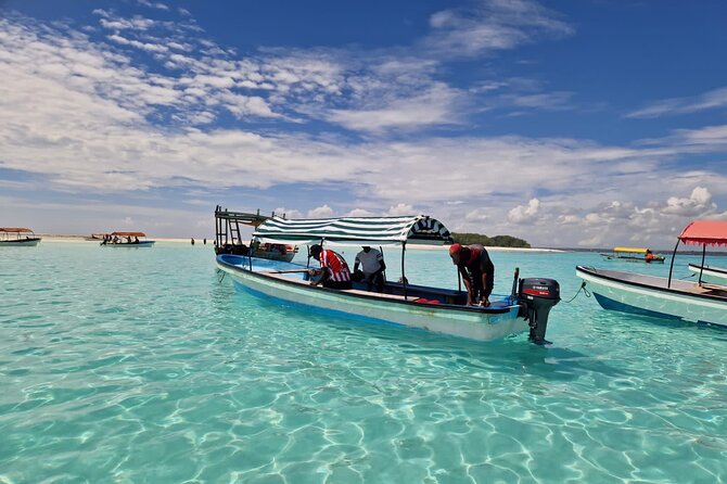 Mnemba Island Dolphin Tour and Stonetown Walking Tour - Key points at a glance