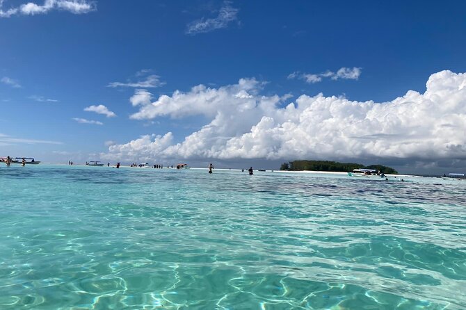 Mnemba Island Dolphin Tour and Stonetown Walking Tour - Why this Zanzibar pairing works so well
