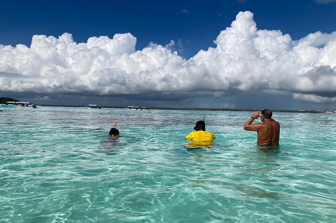 Mnemba Island Dolphin Tour and Stonetown Walking Tour - What to expect from the snorkeling