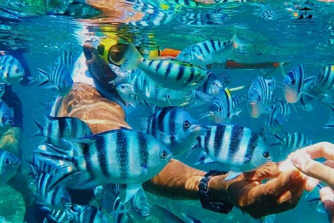 Mnemba Island Dolphin Tour and Stonetown Walking Tour - Stone Town: four hours among old lanes and grand buildings
