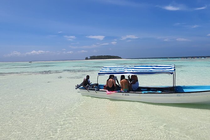 Mnemba Island Dolphin Tour and Stonetown Walking Tour - Who will enjoy this tour most?