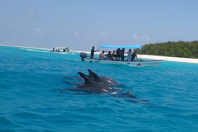 Mnemba Island snorkeling and Swimming with Dolphin - The sandbank, shallow water, and fruit stop