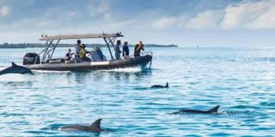 Mnemba island Swimming + snorkeling with dolphins adventure - Is $80 good value for this Mnemba trip?