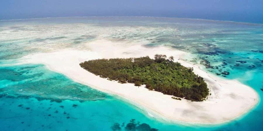 Mnemba island Swimming + snorkeling with dolphins adventure - Who will enjoy this experience most?